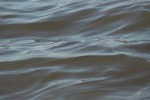 resIMG_20150503_082324_4409.JPG